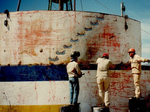 proyectos en campeche